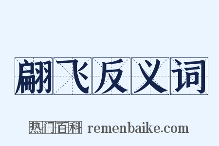 翩飞反义词是什么意思的图片